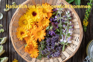 Wirkung von Farben auf Hormone