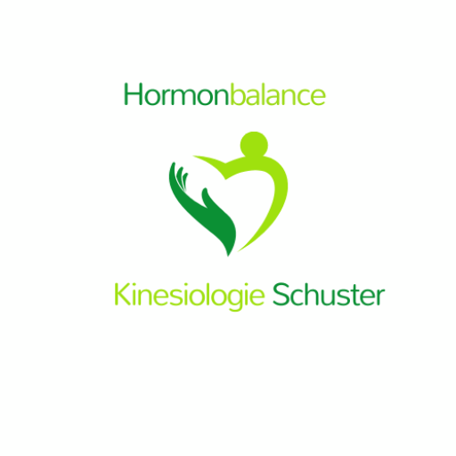 Partnernetzwerk elisabeth schuster akademische kinesiologin der akg